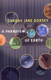 Book cover of Paradigm of Earth
