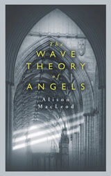Book cover of The Wave Theory of Angels